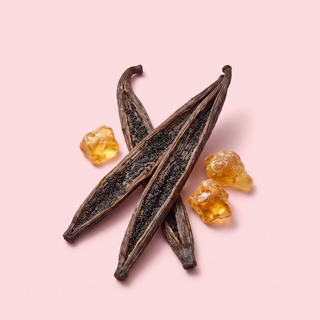 Parfum vanillé